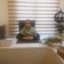 مشاوره آنلاین خانم حسینی عضو سامانه مشاوره آنلاین "های اکسپرت"